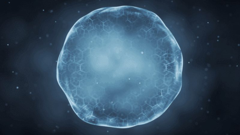 生物医药质量体系认证与GMP认证：本质区别与实际应用