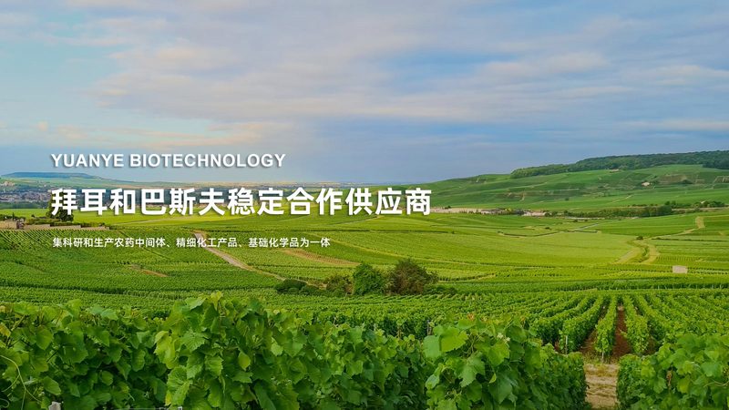 细胞工厂层数的选择：揭秘高效生产的秘密