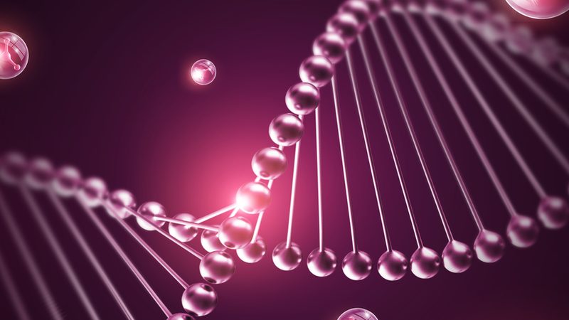 细胞培养：揭秘生物科技领域的基石技术