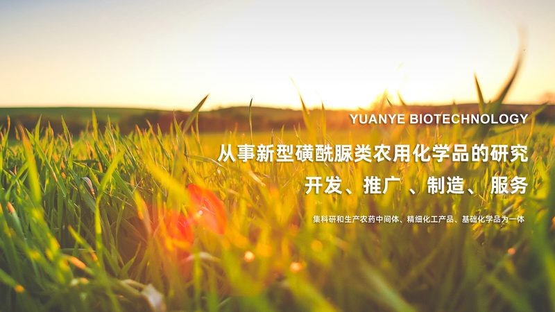基因测序仪：揭秘华大智造的“基因侦探”之道