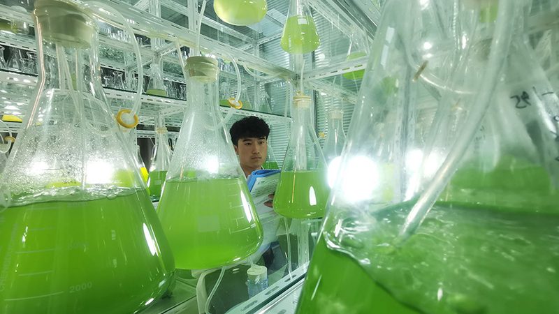 细胞培养技术服务：揭秘定制化成本背后的考量**